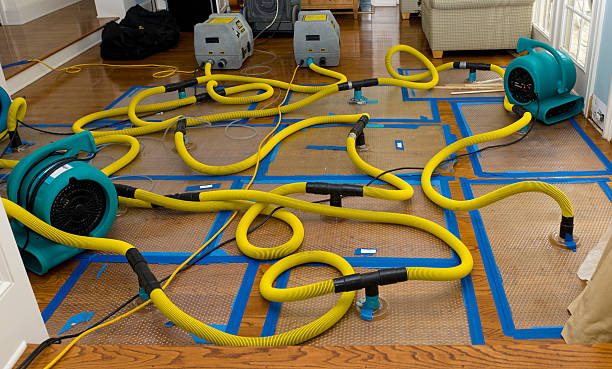 Professional Water Damage Repair technician working in California, CA